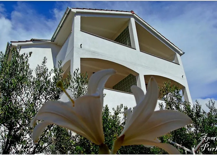 Apartments Purkovic