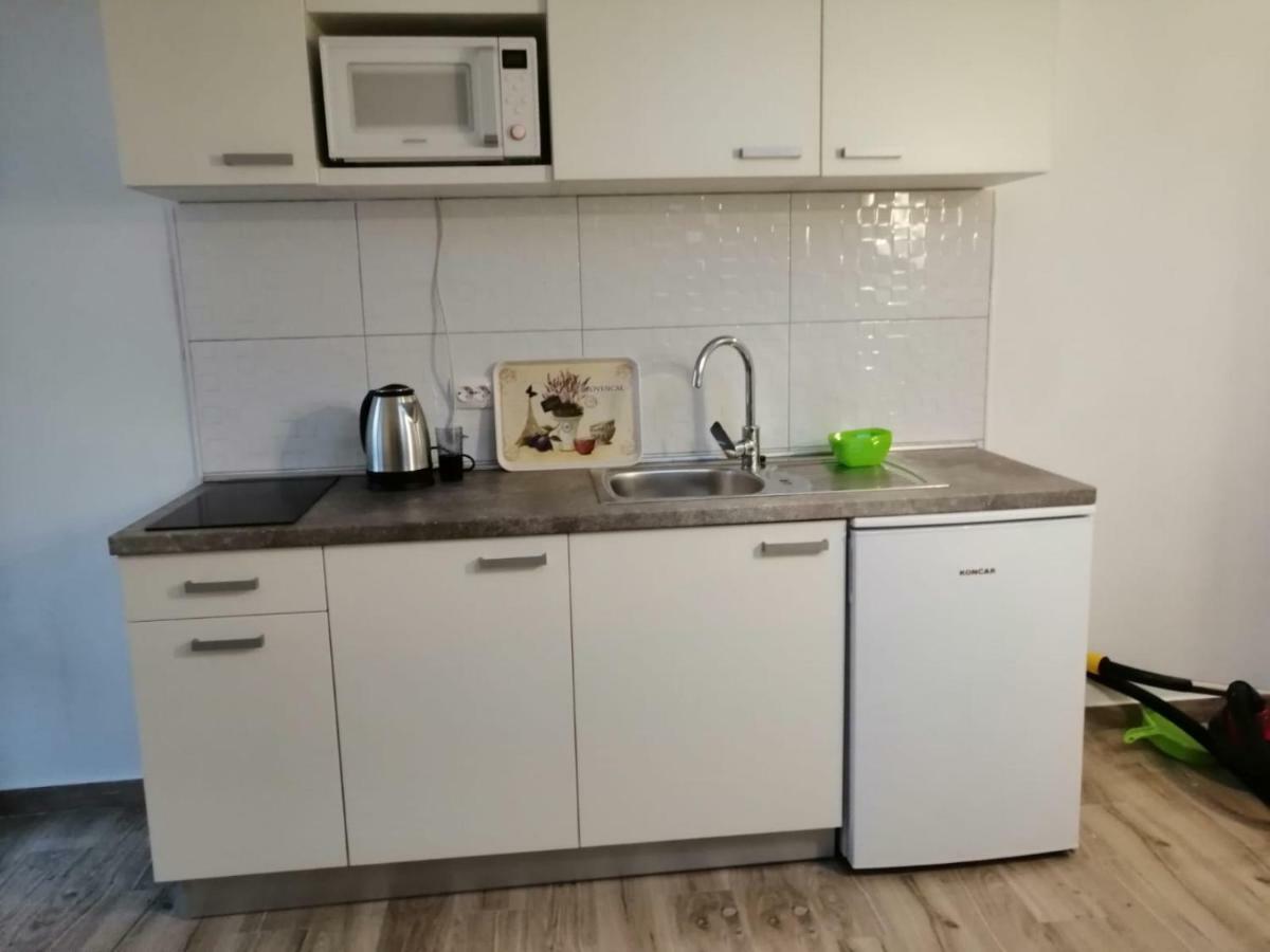 Purkovic Apartment